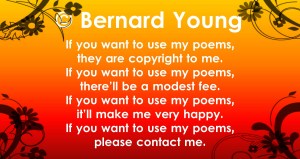 bernard copyright6