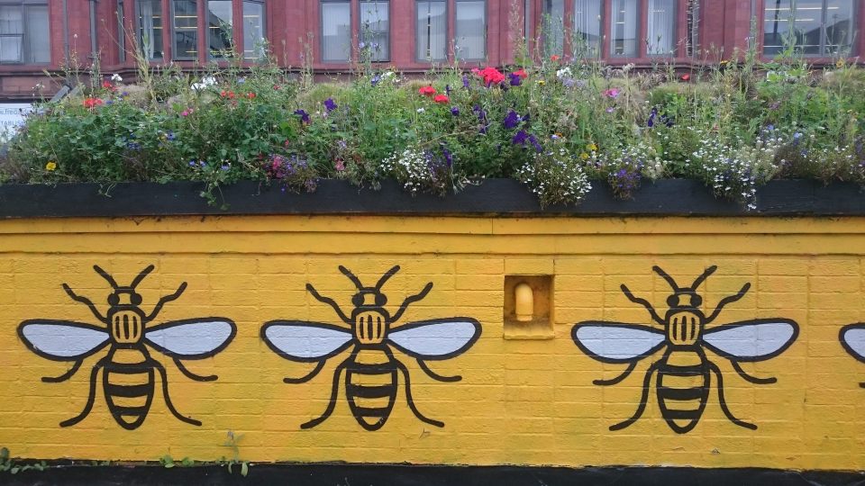 Image: Bees CC-BY Duncan Hull https://flic.kr/p/XRyGmV